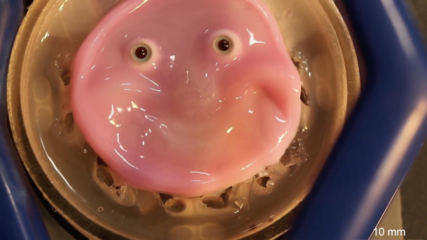 A smiling, smooth-looking pink blob with eyes.