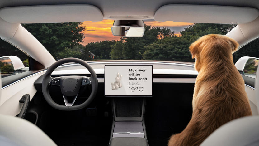 A dog inside a car.