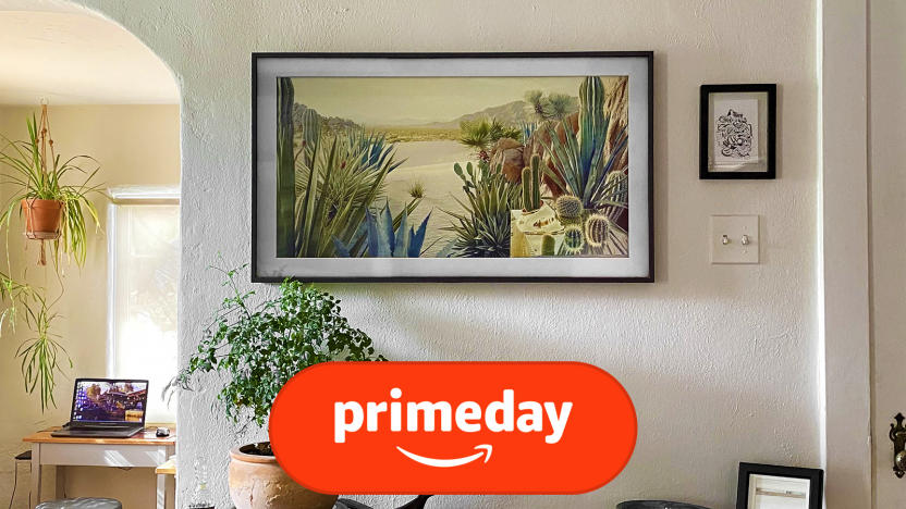 The Samsung Frame TV rests flush against a white wall in a home, with a houseplant in front.