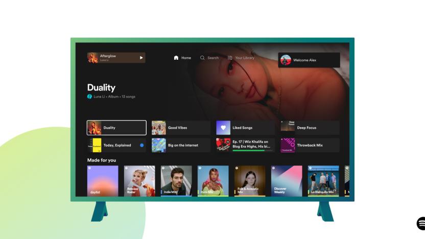 Spotify TV app home screen.
