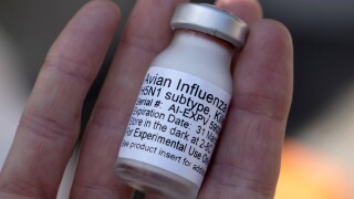 H5N1 experimental influenza vaccine. 