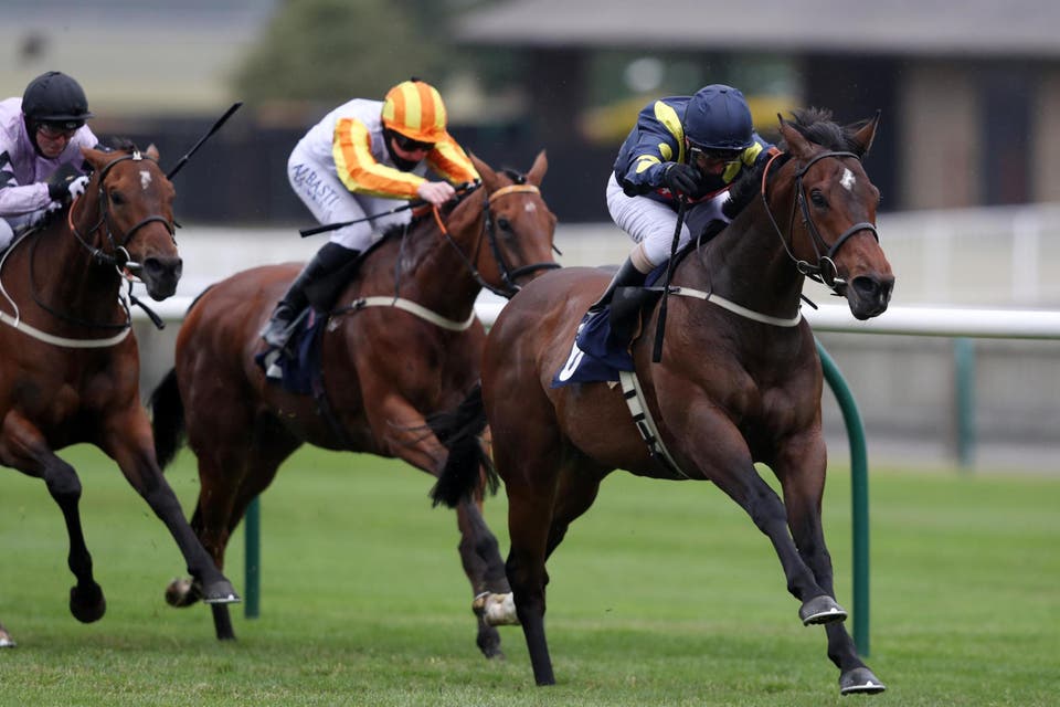 Horse racing tips: Noble Dynasty the pick for Newmarket’s feature race