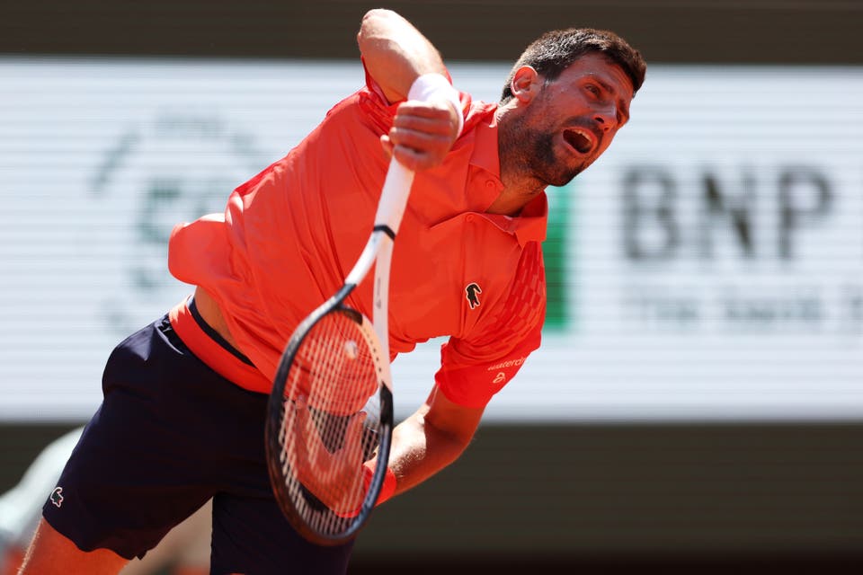 Djokovic survives Davidovich Fokina test to reach French Open last 16